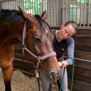 Körperarbeit für Pferde mit der Masterson Method® - Lösen des Zungenbeins