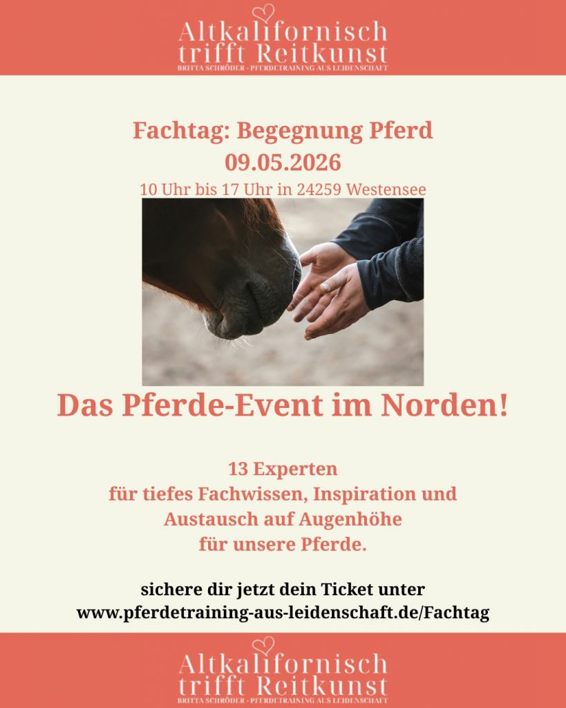 WhatsApp Image 2026-03-06 at 14.42.42